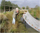 Rick Carver photos seined fish